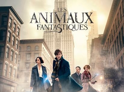 Les animaux domestiques