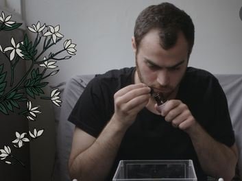 L'essence des souvenirs