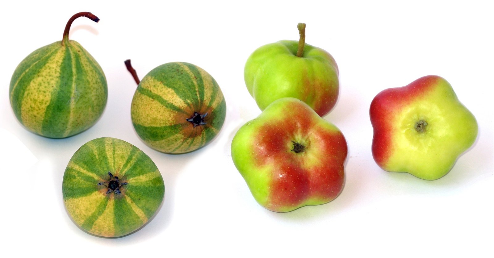 Apple 2846111 1920
