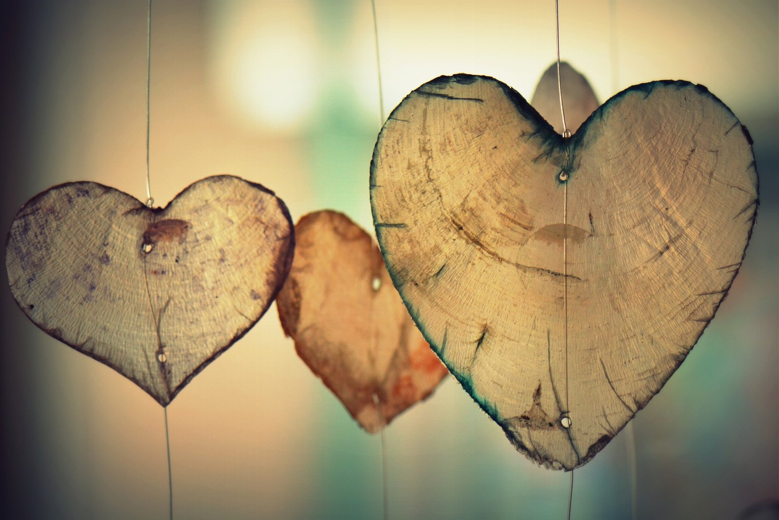 Heart 700141 1920