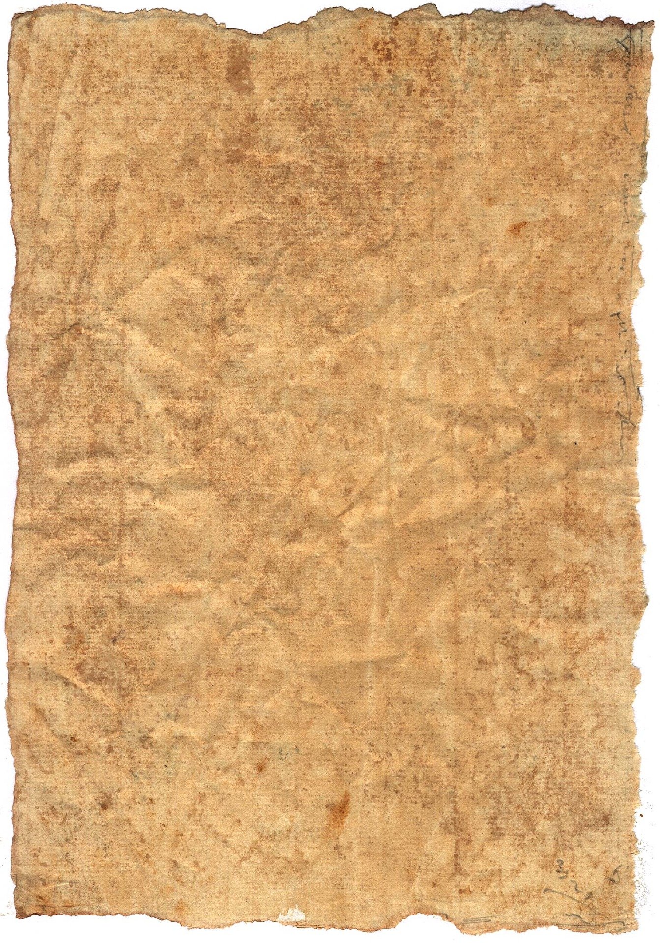 Parchment 1527104
