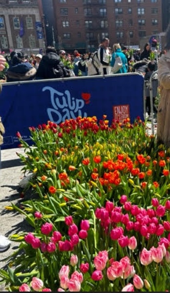 Capture d'écran 2024 04 09