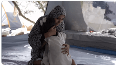 Capture d'écran 2025 03 07