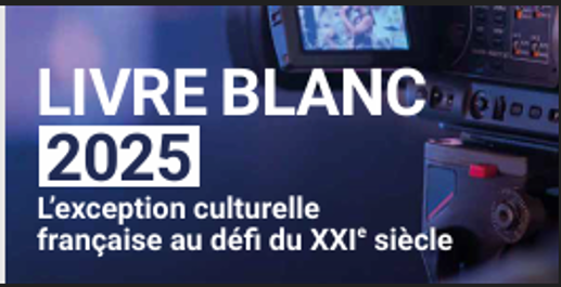 Capture d'écran 2025 07 01