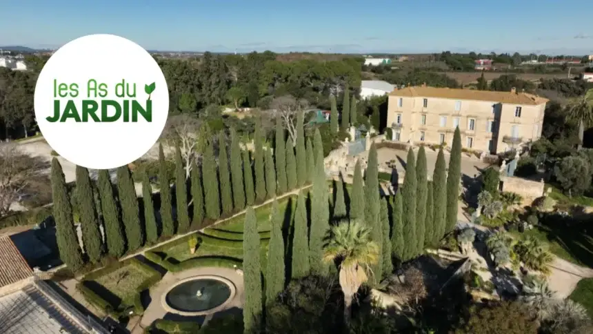 Copie de Copie de Copie de Horizontal France.tv (41).png