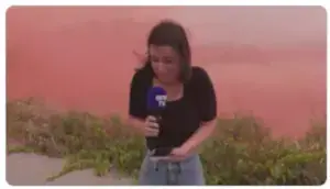 Capture decran 2025 07 08 082444 300x172