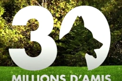 30 millions amis emission reviendra elle jour television