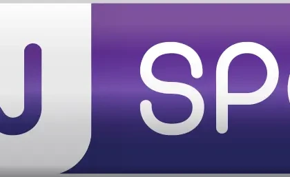 BeIN Sports gagne une bataille contre le piratage