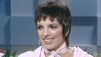 Tdy pop archive liza minnelli 19810723 kr7een