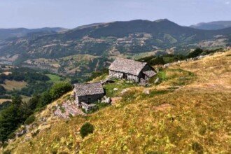 France 2 ecrase tout le monde avec elles deux