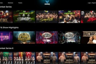 Banijay stephane courbit se lance dans le streaming