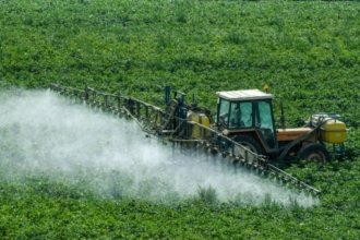 La «loi Duplomb» a bénéficié du soutien de syndicats agricoles, mais aussi d’agriculteurs-influenceurs très actifs sur l