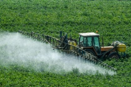 La «loi Duplomb» a bénéficié du soutien de syndicats agricoles, mais aussi d’agriculteurs-influenceurs très actifs sur l