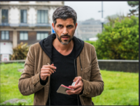 Commissaire Dupin