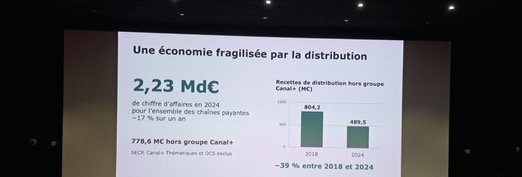 Les revenus des chaînes thématiques issus de la distribution ont chuté et les amènent à chercher de nouveaux relais.